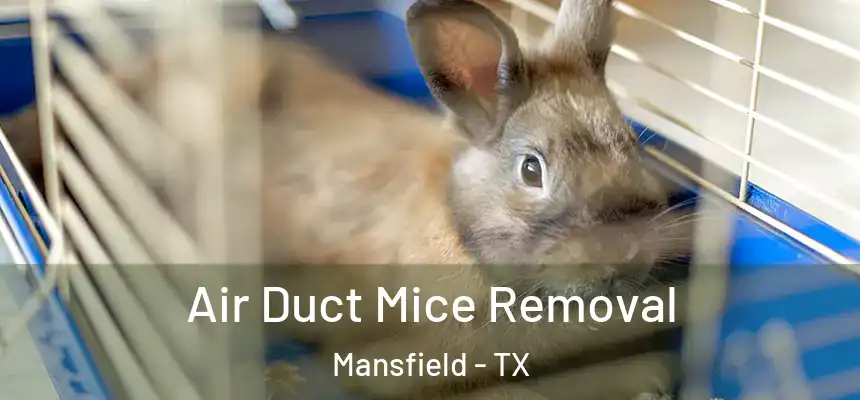 Air Duct Mice Removal Mansfield - TX