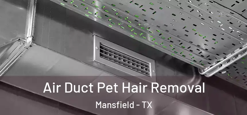  Air Duct Pet Hair Removal Mansfield - TX