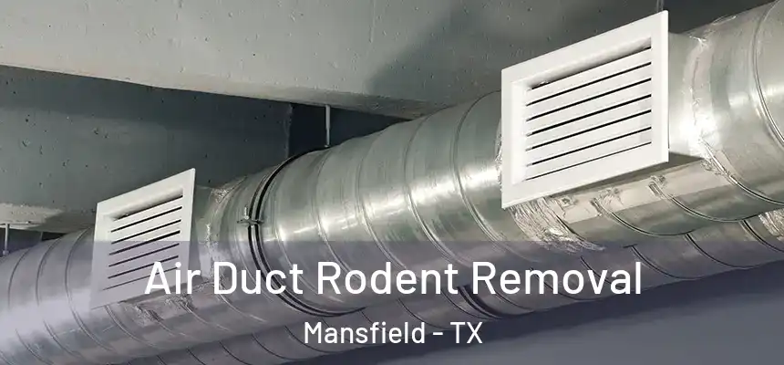  Air Duct Rodent Removal Mansfield - TX