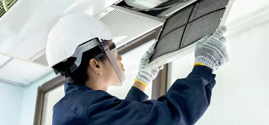 Our Mold & Mildew Removal from Air Ducts Services in Mansfield, TX