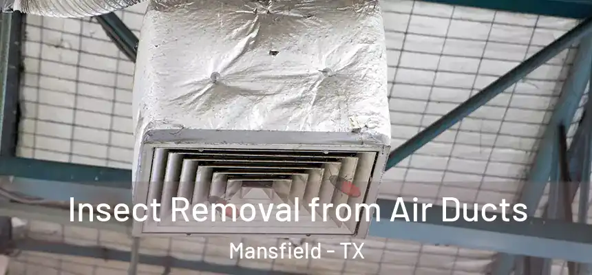 Insect Removal from Air Ducts Mansfield - TX