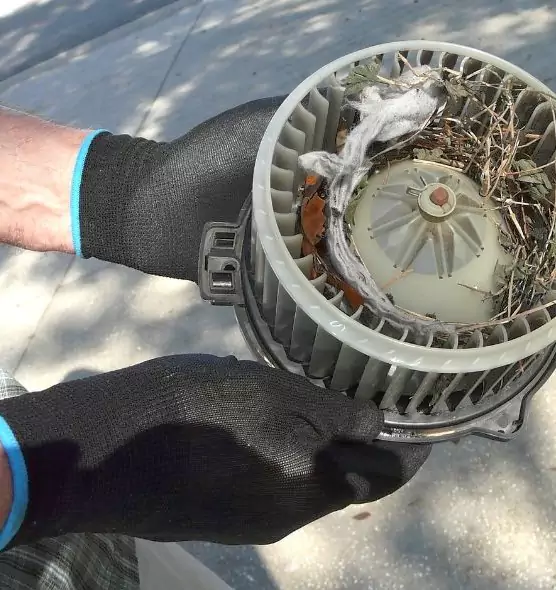 About Air Duct Mice Removal in Mansfield, TX