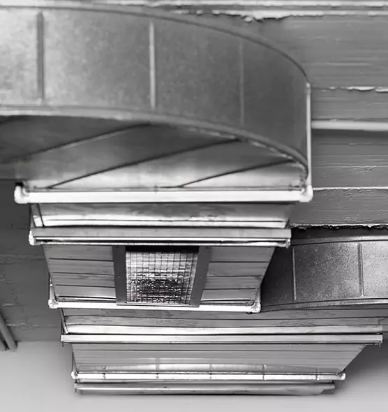 Professional Air Duct Pest Removal in Mansfield, TX